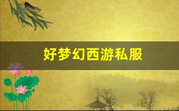 好梦幻西游私服 (11)