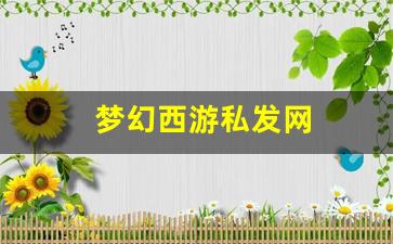 <strong>梦幻西游私发网 (14)</strong>