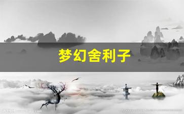 梦幻西游贴吧：梦幻舍利子(梦幻舍利子多少钱一粒) (18)