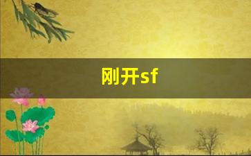 刚开sf (14)