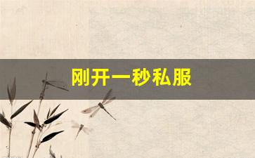 <strong>刚开一秒私服 (15)</strong>
