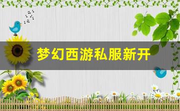 梦幻西游私服新开 (5)