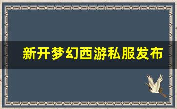 新开梦幻西游私服发布网 (15)