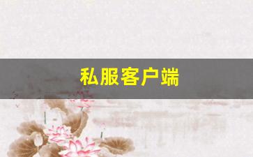 私服客户端 (20)