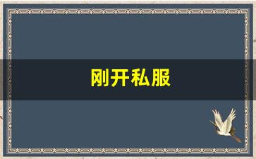 梦幻109：刚开私服 (14)