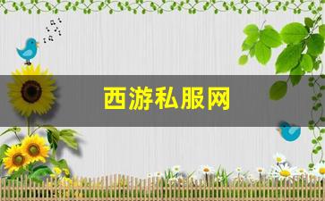 梦幻西游s：西游私服网(西游网游戏大厅)
