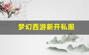 梦幻西游新开私服 (4)