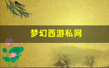 梦幻西游私网(梦幻西游私sf官网) (2