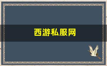 西游私服网(西游游戏官网)