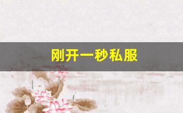 刚开一秒私服(最新刚开一秒传奇sf)