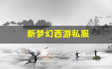 梦幻西游私服网站：新梦幻西游私服(梦幻西游手游) (6)